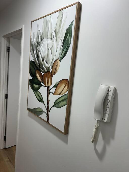 Stunning 3 Bd - 2 Bth City Apt - Pool & Carpark オークランド エクステリア 写真